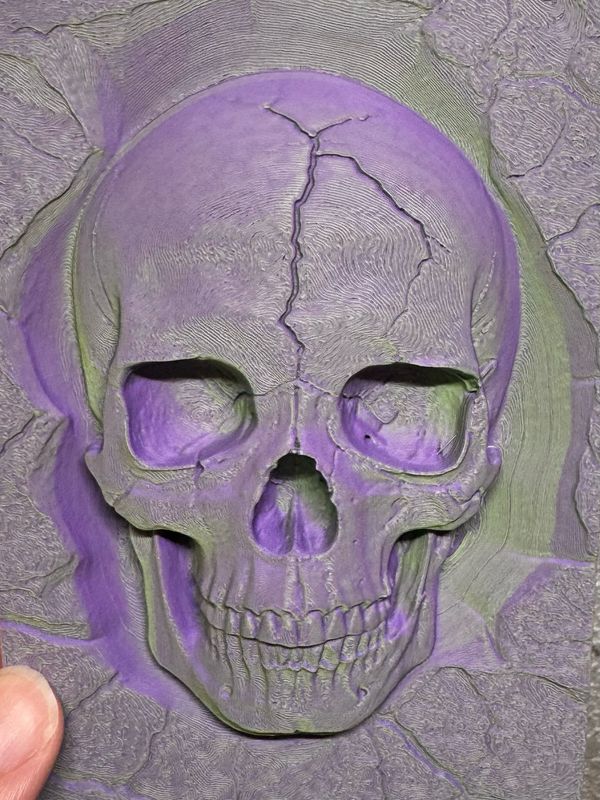 3D Skull Climbing Wall 4x6&quot;