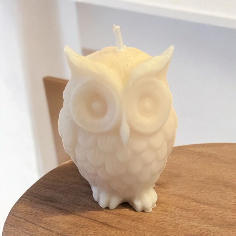 Petit hiboux 🦉 