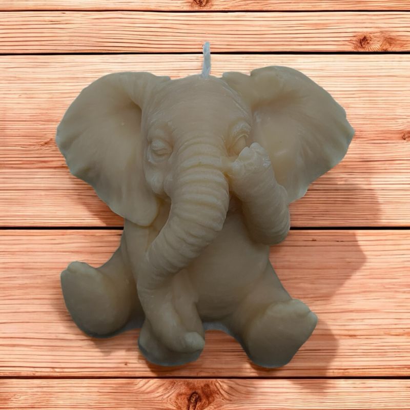 Éléphant 🐘