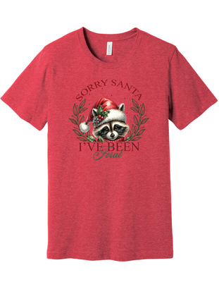 Sorry Santa Youth Sizes Only
