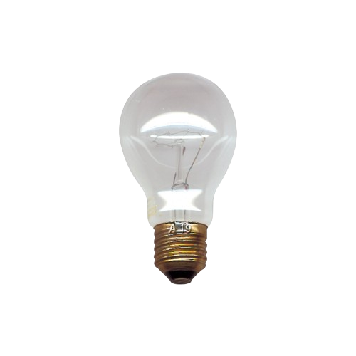 LAMPE AMPOULE FOUR HAUTE TEMPERATURE 60W, 24V