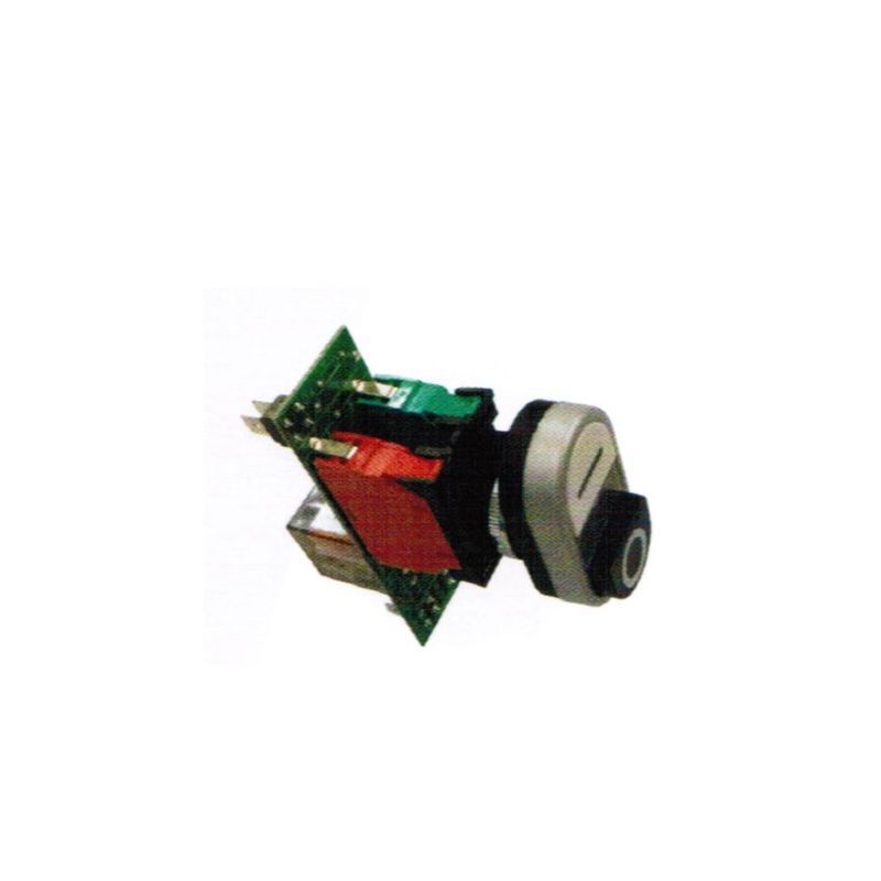 CARTE AVEC INTERRUPTEUR TYPE D 98X32X78(105) MM
