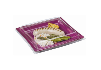 ASSIETTE CARREE PLASTIQUE COULEUR ASSIETTE CARREE PLASTIQUE COULEUR