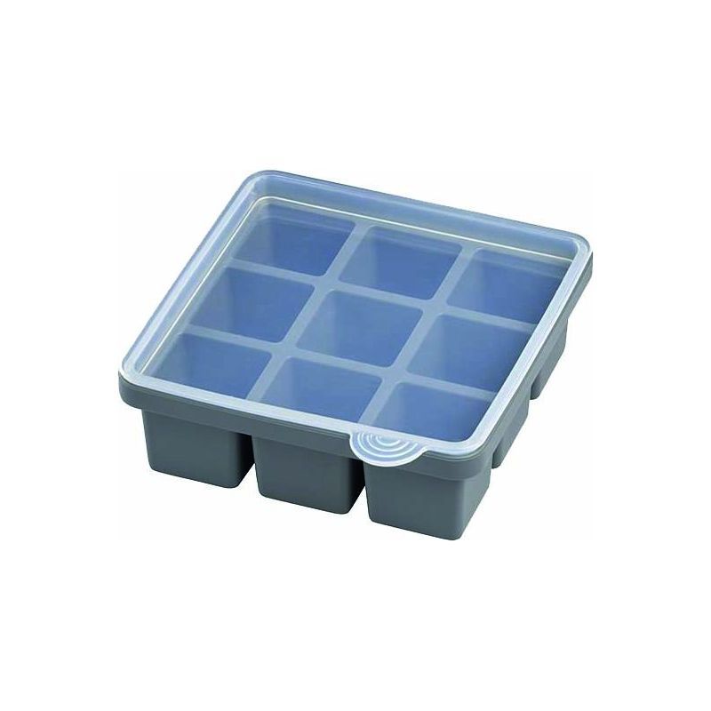 LOT DE 2 BACS A GLACONS SILICONE AVEC COUVERCLE