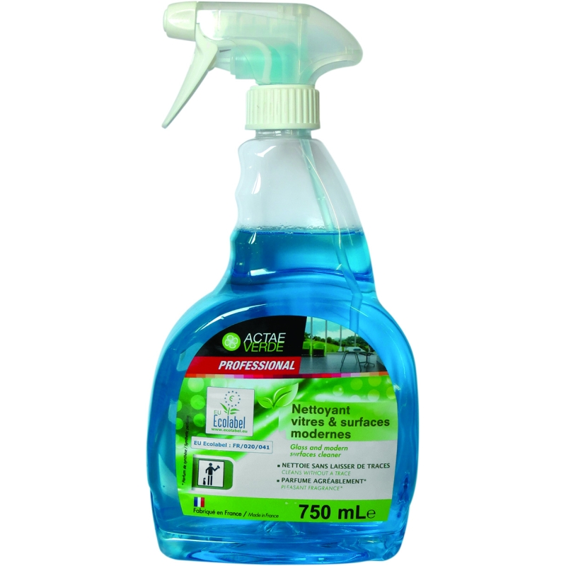 NETTOYANT VITRES MENTHE - PISTOLET 750 ML