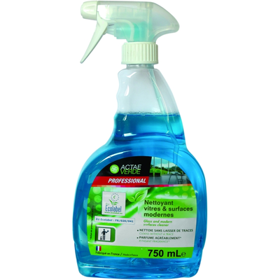 NETTOYANT VITRES MENTHE - PISTOLET 750 ML