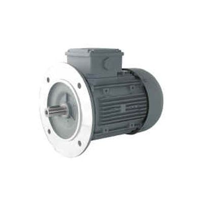 MOTEURS ELECTRIQUES TRIPHASES TYPE B5 1000T/MIN 6 PÔLES - 0.25 kW