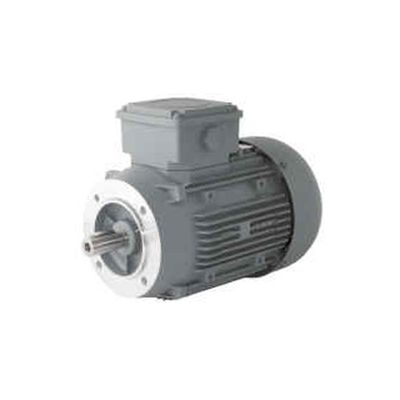 MOTEURS ELECTRIQUES TRIPHASES TYPE B14 1000T/MIN 6 PÔLES - 0.37 kW