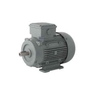 MOTEURS ELECTRIQUES TRIPHASES TYPE B3 1500T/MIN 4 PÔLES - 0.75 kW