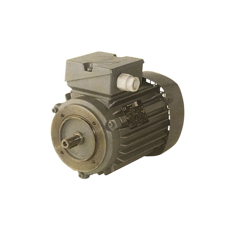 MOTEUR SPECIAL POUR LAMINOIR CAPLAIN