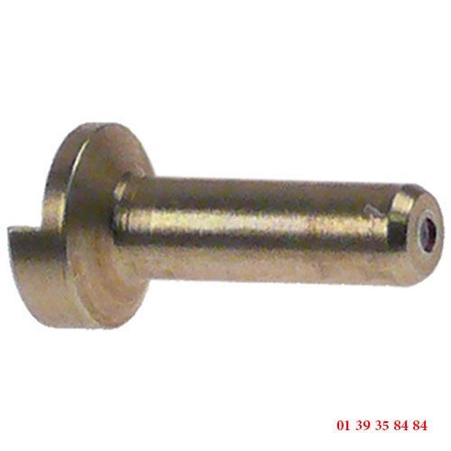 10 INJECTEURS VEILLEUSE - Ø trou 0,18/0,20 mm - ADAPTABLE A PLUSIEURS MARQUES