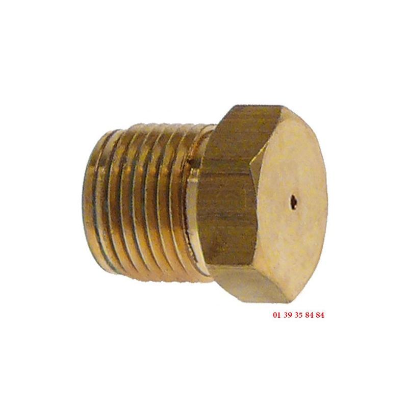 INJECTEUR GAZ Ø trou 0.81 mm-ADAPTABLE EMMEPI