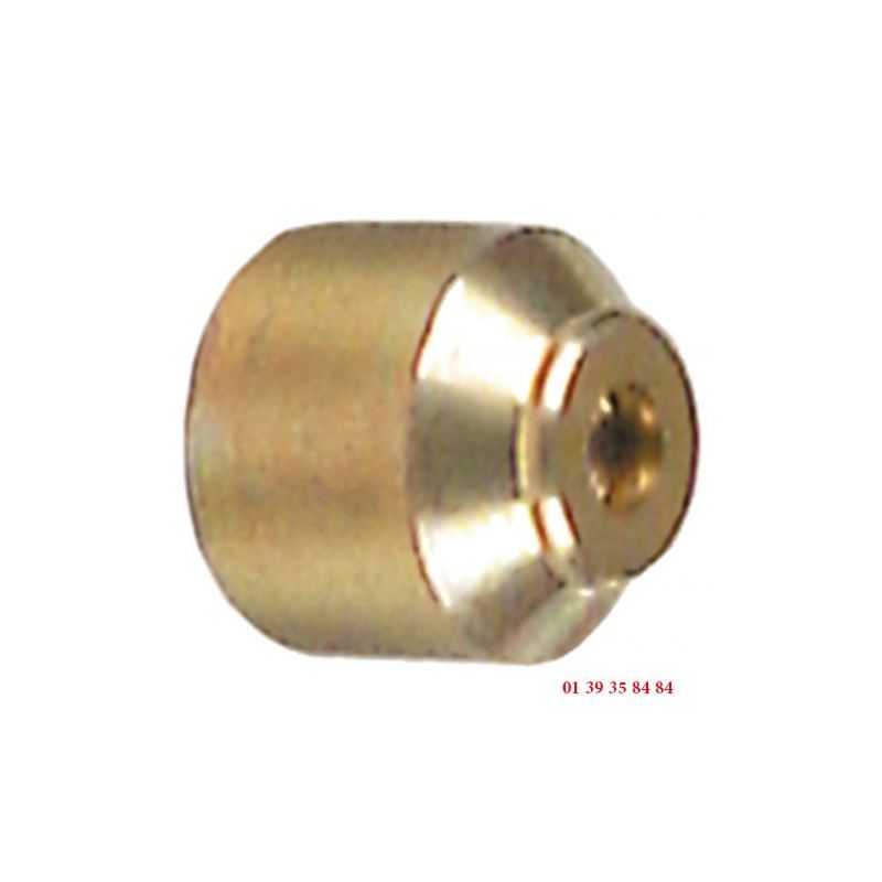 INJECTEUR GAZ -  Ø trou 0.25 mm - LOT DE 5