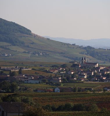 Beaujolais