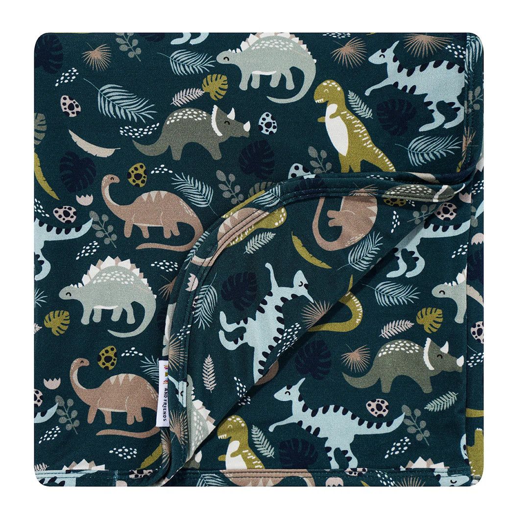 Emerson and Friends blanket 