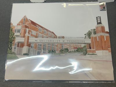University of Tennessee Sign Art Print