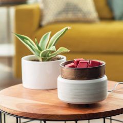 Candle Warmers 2-in-1 Warmer Whitewashed Bronze