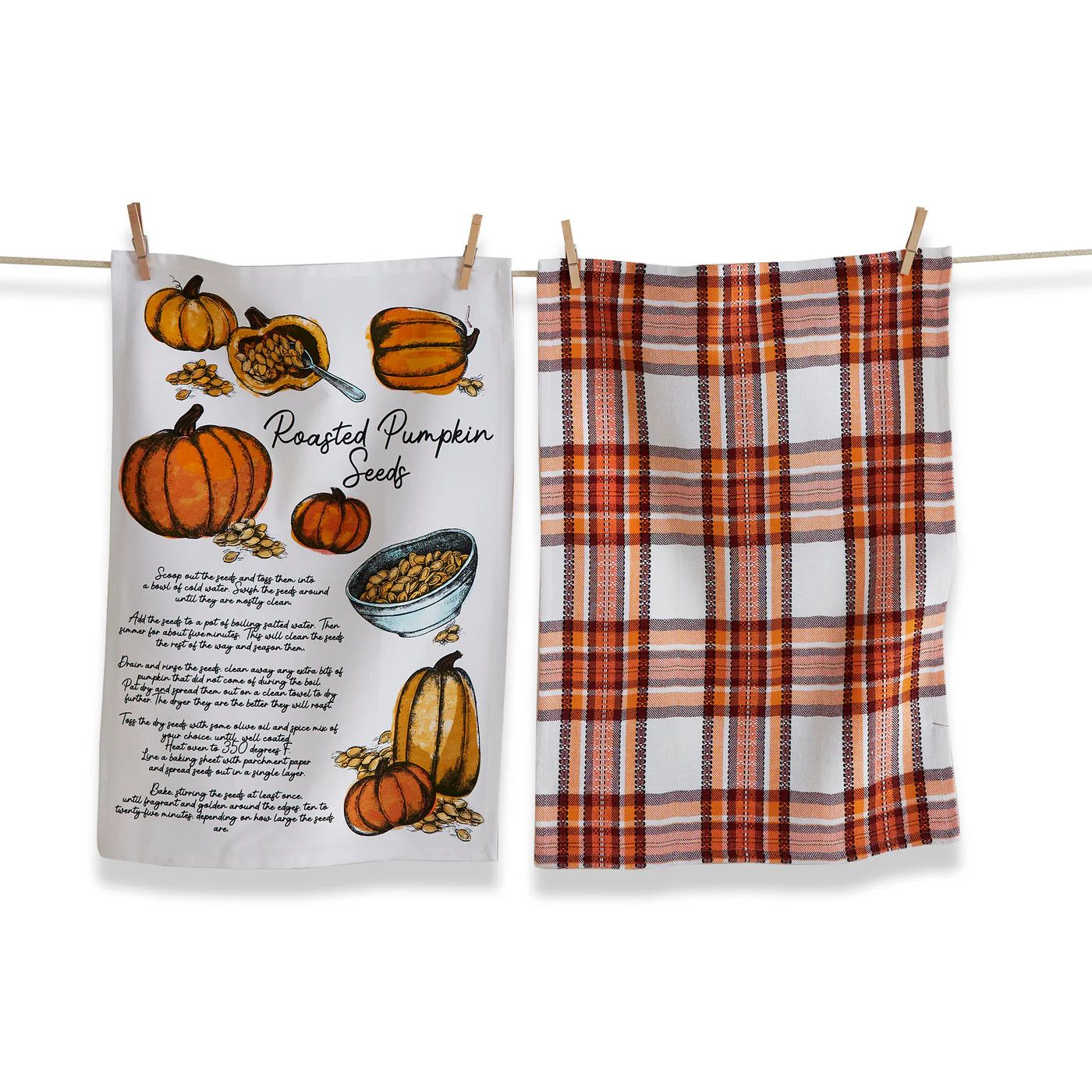 Tag Pumpkin Seed Set of 2 Dishtowels