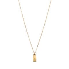 ABLE mini dog tag necklace