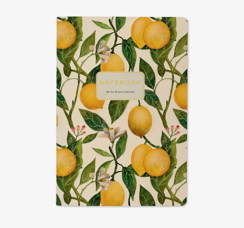 Bruno Visconti Lemon Notebook