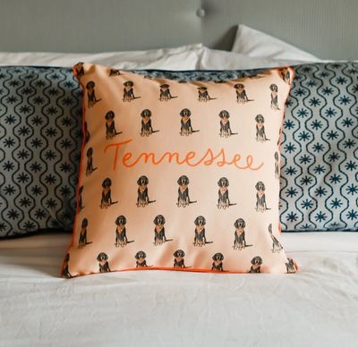 Barrel Down South Gingham TN pillow