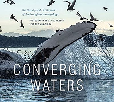 Converging Waters by Gwen Curry