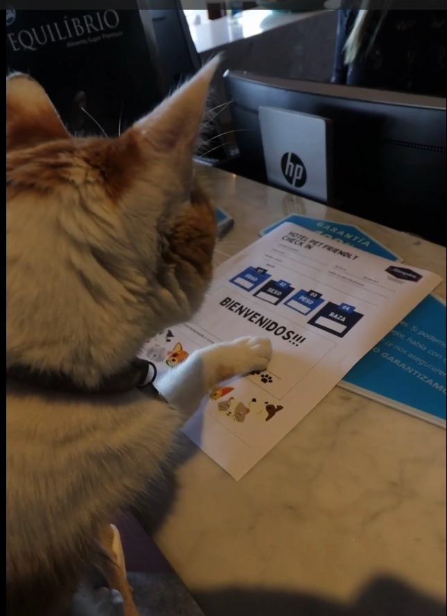 PET FRIENDLY  STAY
