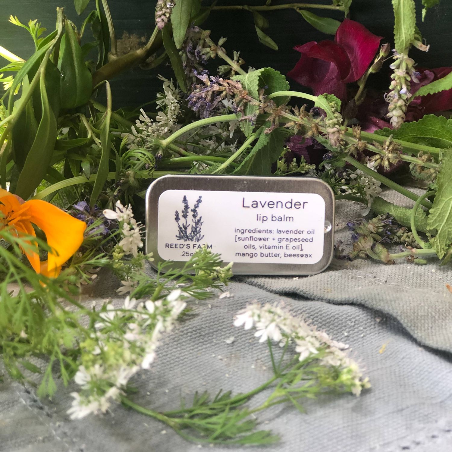 Lavender Lip Balm