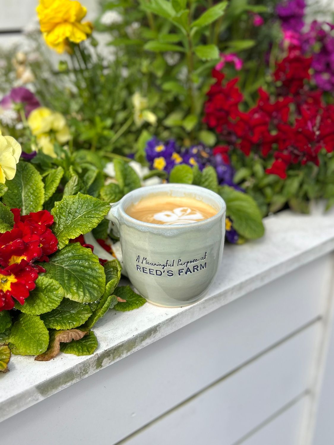 Sue Van Duyne Mug