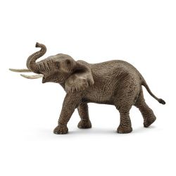Male African Elephant