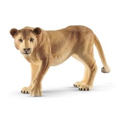 Lioness 2018