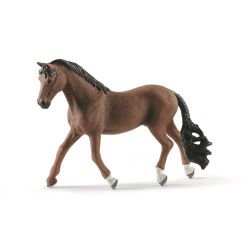Trakehner Gelding RET