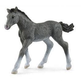 Trakehner Foal disco