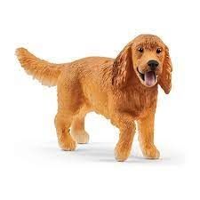 English Cocker Spaniel
