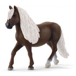 Black Forest Mare disco