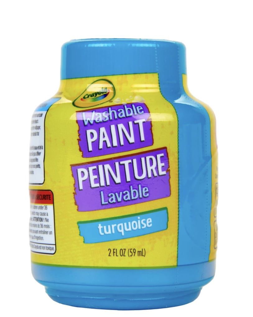 Crayola Turquoise 59 mL Paint