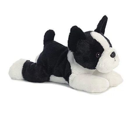 Boston Terrier Buster