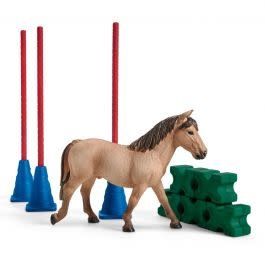 Pony Slalom