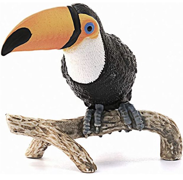 Toucan