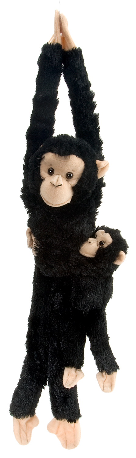 Hanging w/ Baby Chimpanzee