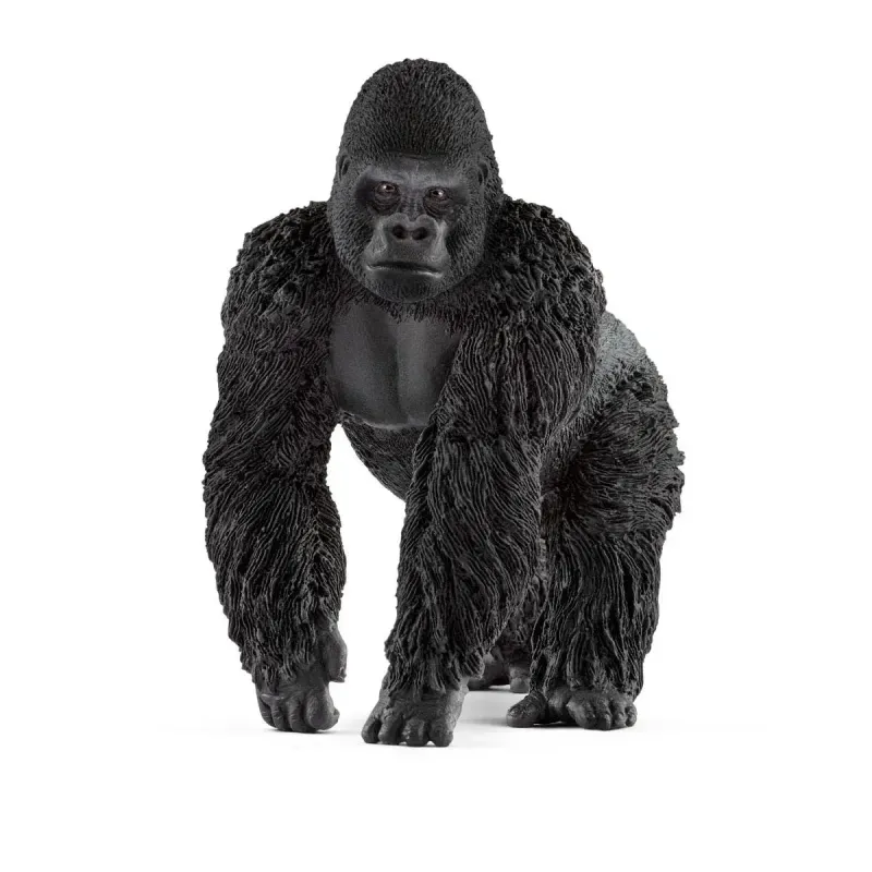 Male Gorilla 2017