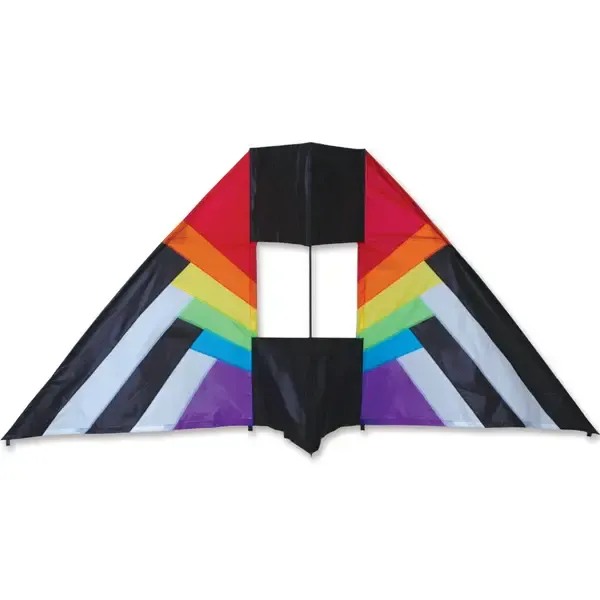 5.5' Box Delta Kite- Rainbow Spectrum