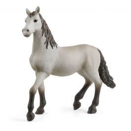 Pura Raza Espanola Young Horse disco