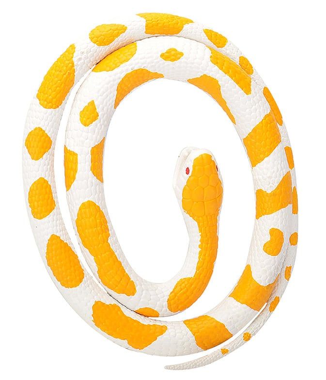 Rubber Snake Small Albino Python
