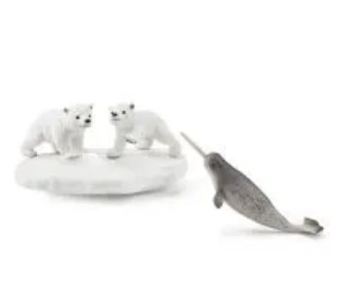 Polar Playground RET