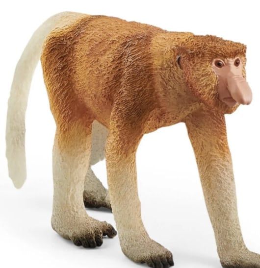 Proboscis Monkey RET