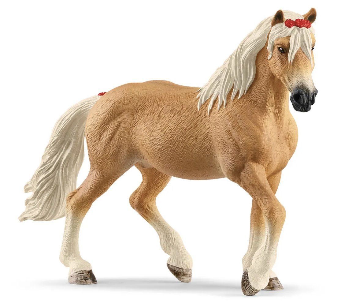Haflinger Mare