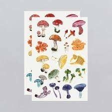 Colourful Mushrooms 2 Sheet Tattoo Set