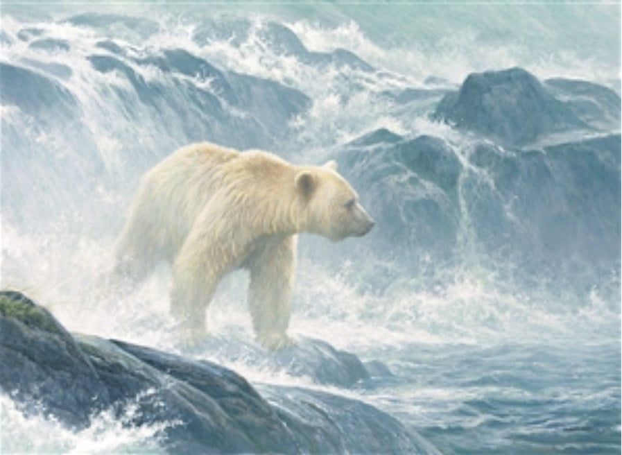 Salmon Watch- Spirit Bear 500 pc Puzzle