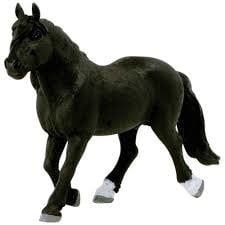 Noriker Stallion